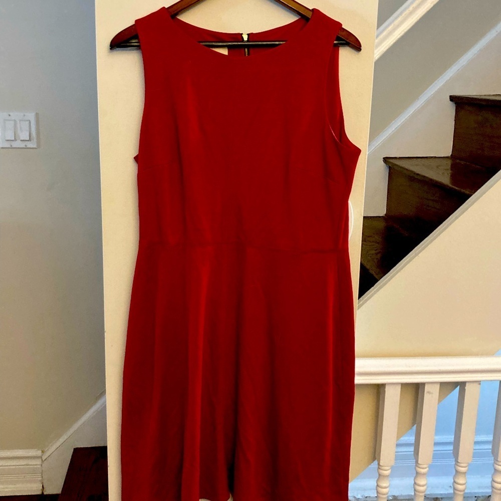 Donna Morgan Cotton sheath with Zipper